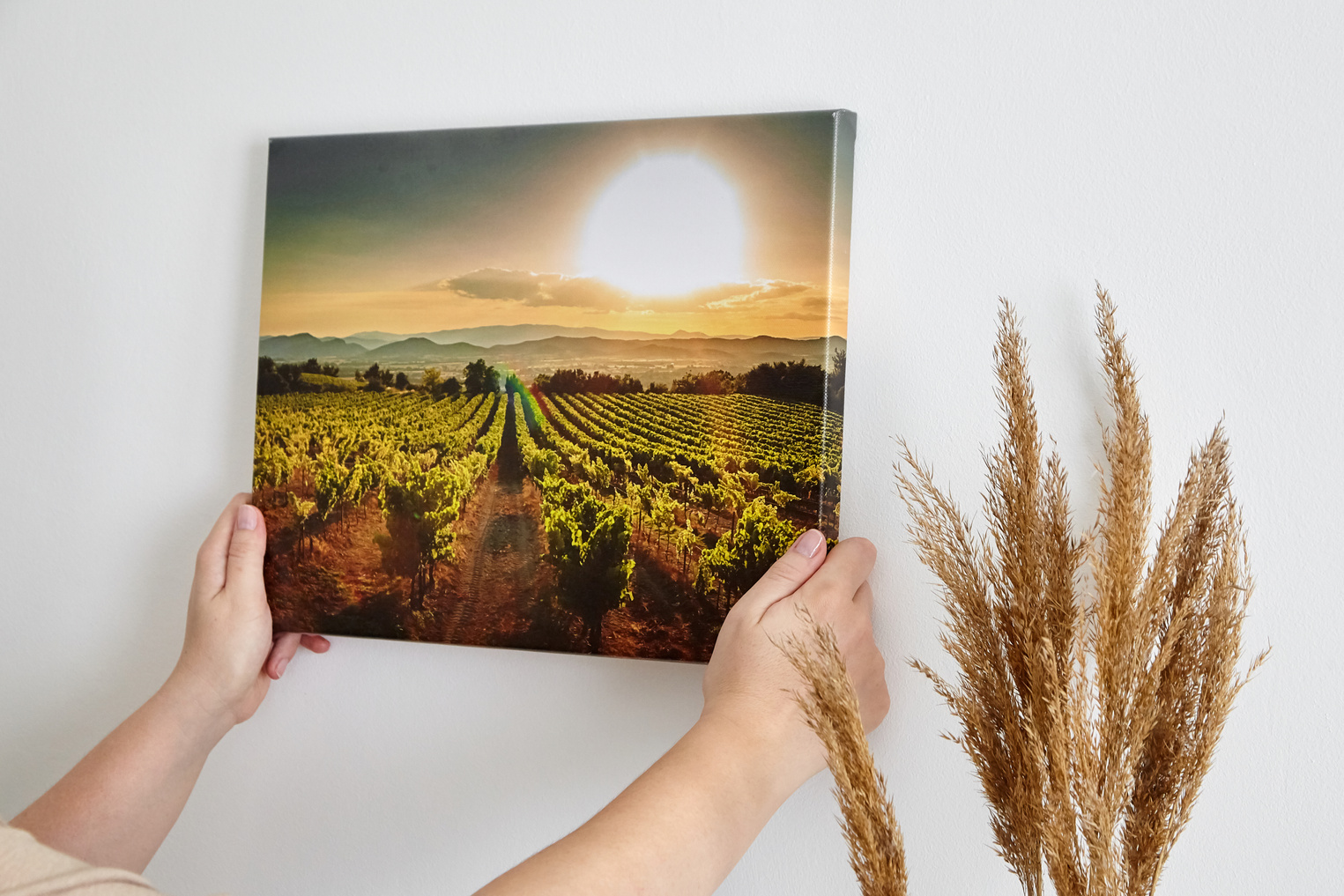Person Holding a Canvas Print